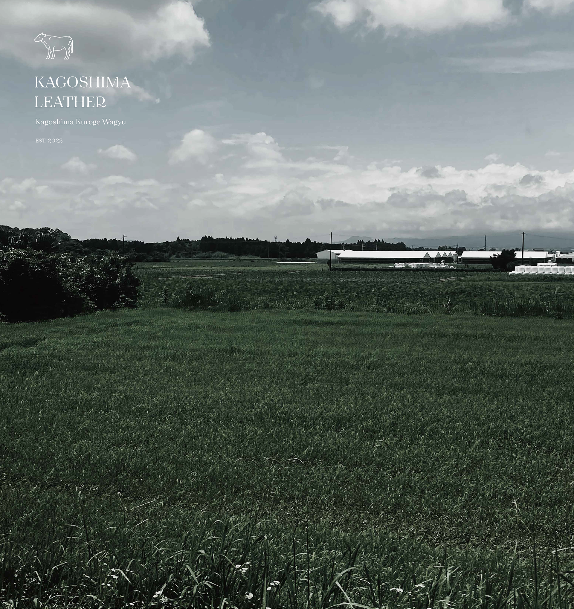 鹿児島レザー｜KAGOSHIMA LEATHER